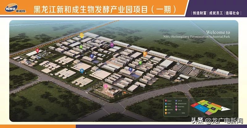 「百大项目·小翟问」“龙江吸引力”留住新和成