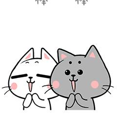 厦门市民卡交社保,厦门市民一卡通社保卡