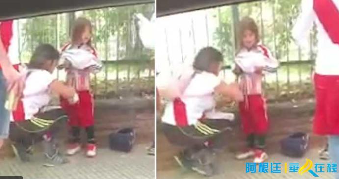 解放者杯最新战况,解放者杯为什么推迟