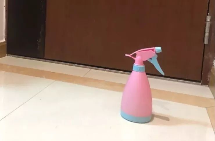 养猫的房间可以用酒精消毒吗,疫情养狗狗家里怎么消毒