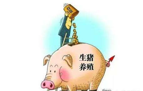 自己养猪好还是合同猪好,新手养合同猪合适吗