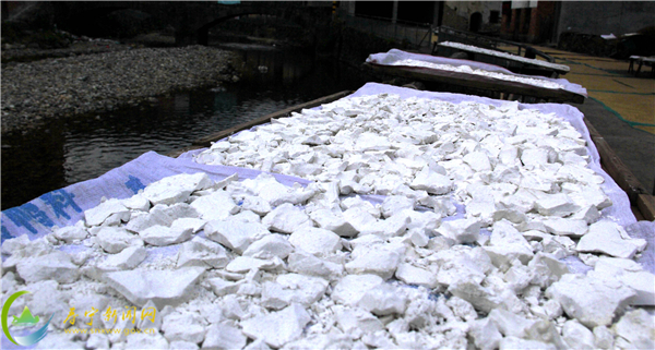 寿宁煎泥鳅裹地瓜粉,寿宁特产小吃黄豆地瓜粉