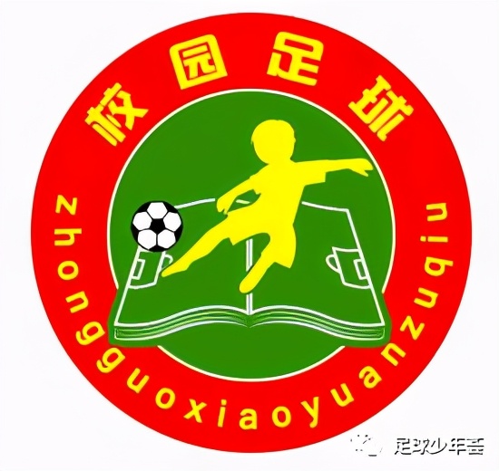 中国足球青训完整视频,《解析中国足球青训现状及问题》