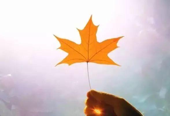 北京哪个同仁堂药店才是正宗,北京同仁堂百年不衰