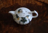 鎵瓙姹熷績姘翠粈涔堣尪,鏅掓檼鎴戠殑鑼惰壓浣滄枃