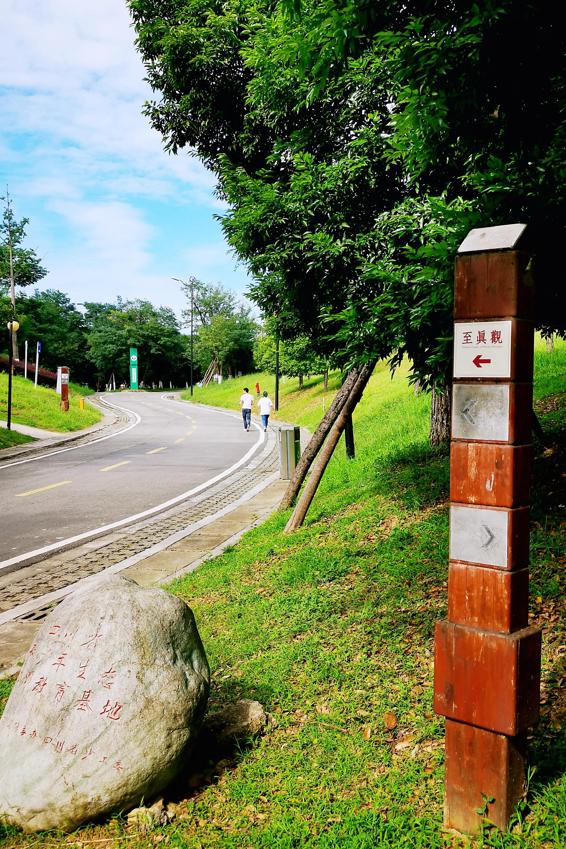 老成都的回忆完整版,老成都的记忆电烤肉串