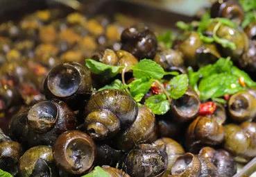 越南桂林自驾游攻略,广西中越边境游攻略