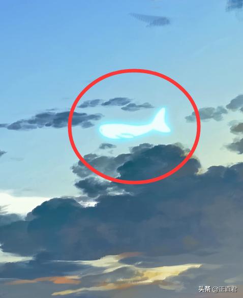 罗小黑战记玄离的秘密,罗小黑战记玄离的图片