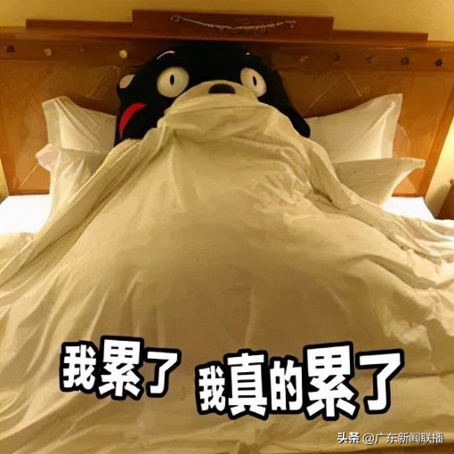 双十一付尾款后未发货退款,临近双十一商家退款是怎么回事