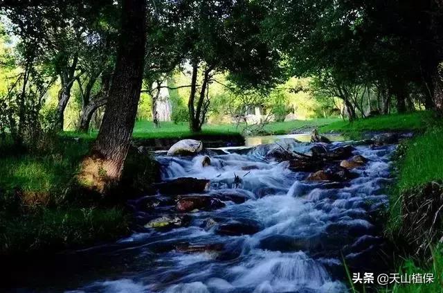 大美新疆百里画廊,北疆千里画廊打卡点