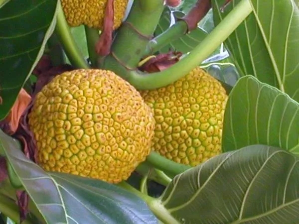 此生必去最美的地方,此生必去的四个海