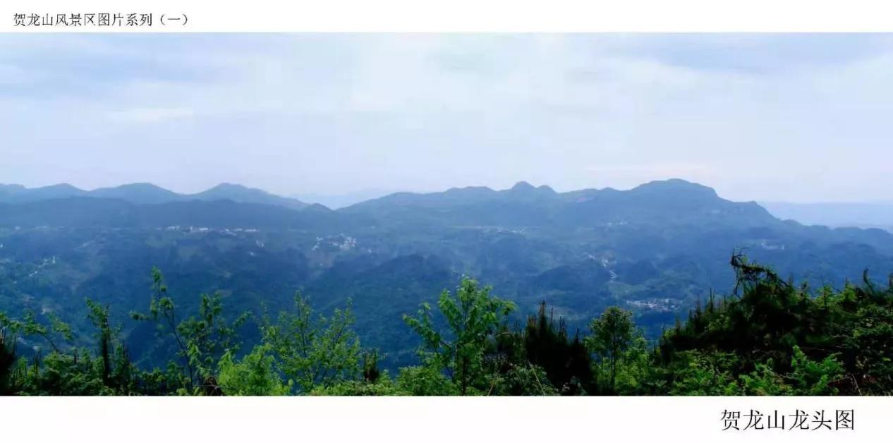 挖掘历史文化资源打造地方特色,挖掘黄河文化讲好故事