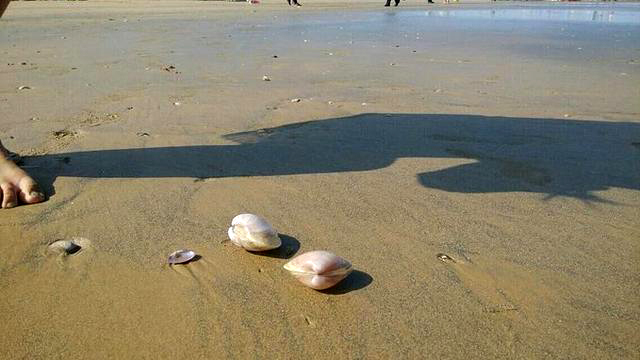 日照文旅,日照旅游攻略