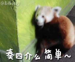 白金信用卡如何搭配使用,如何玩转各大银行白金信用卡