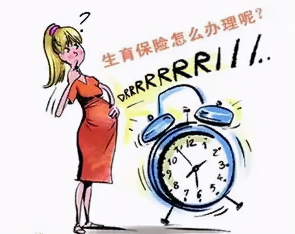 射阳县城乡居民保险,射阳2024年医疗保险收费标准