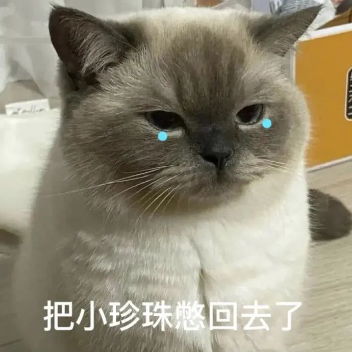 感动表情包图片大全微信,微信小脸谱表情包大全