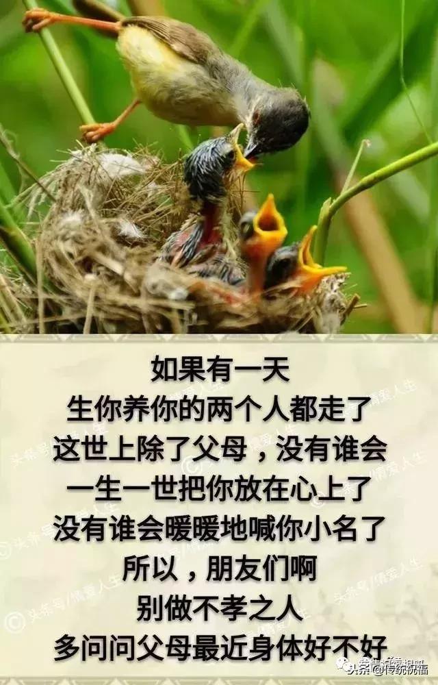 我的家庭相册怎么弄,我的家庭相册全集