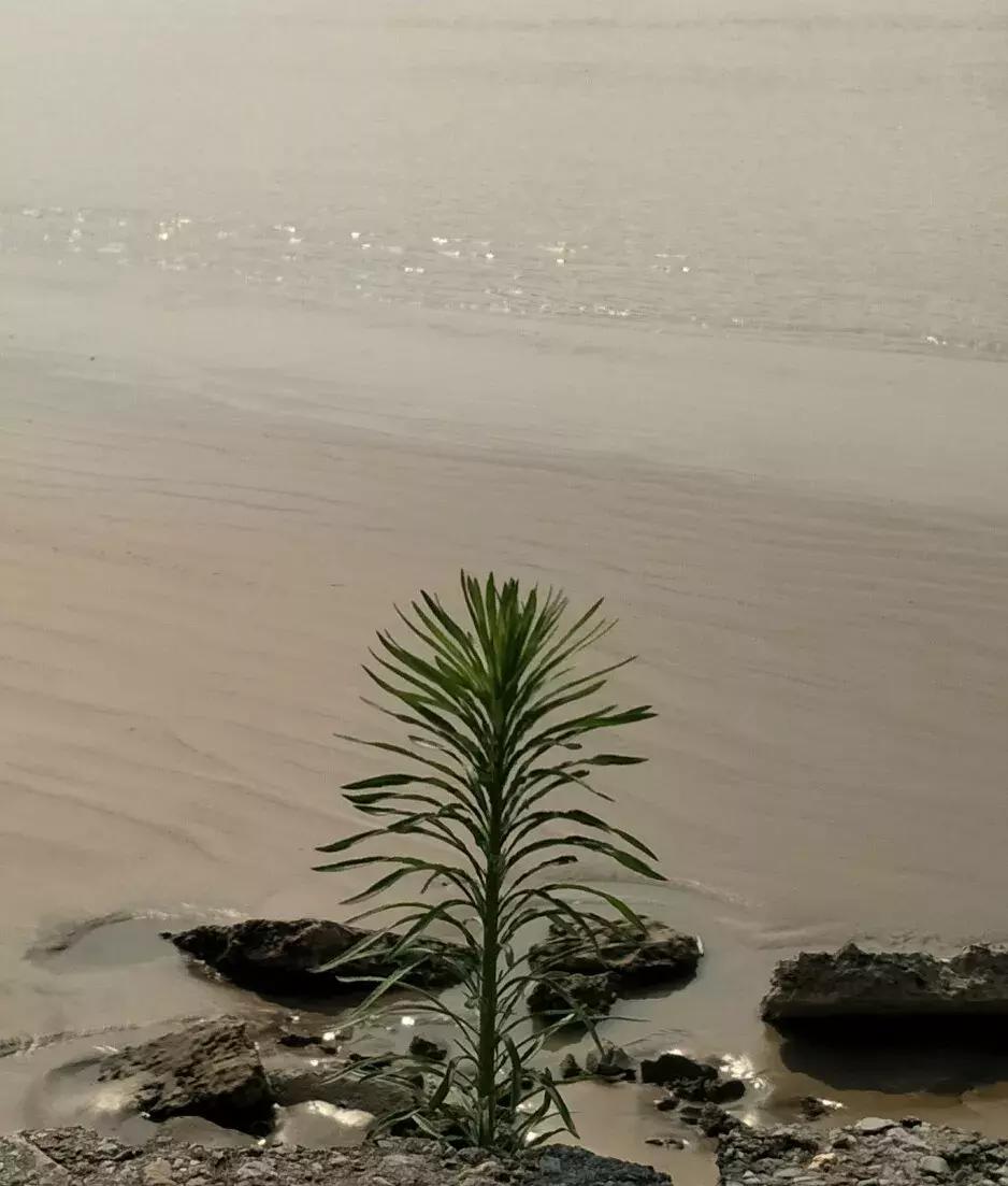 东营打工一般工资多少,东营微文化郝丽霞