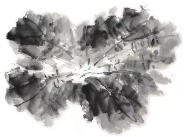 白描荷花的画法图片,如何画荷花白描大片