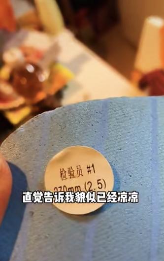 在岛国网上冲浪时候，居然买到了...