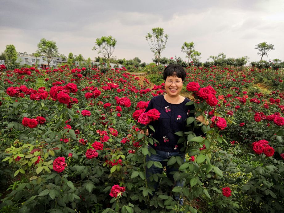 自我降低心率方法,降低心率绝招
