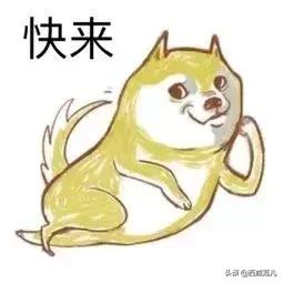 顺丰西北区,顺丰同城唯品会