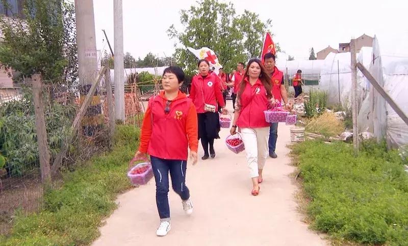 大爱武进！前黄残疾人合作社滞销的圣女果有销路啦.......