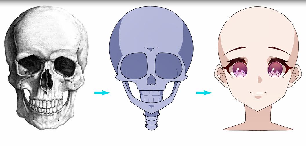 procreate写实人物起稿教程,二次元头像绘画新手教程