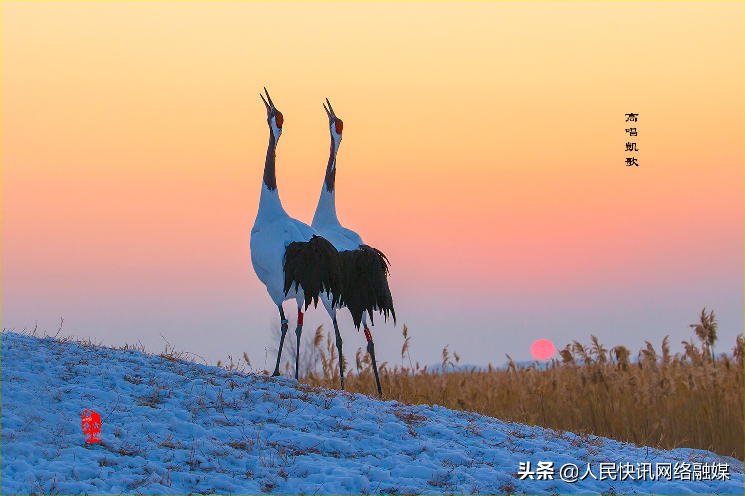 白衣天使大爱无疆的精神,白衣天使大爱无边完整版