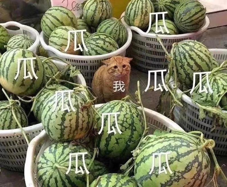 霍思燕杜江回大学宿舍,杜江霍思燕宿舍吃火锅