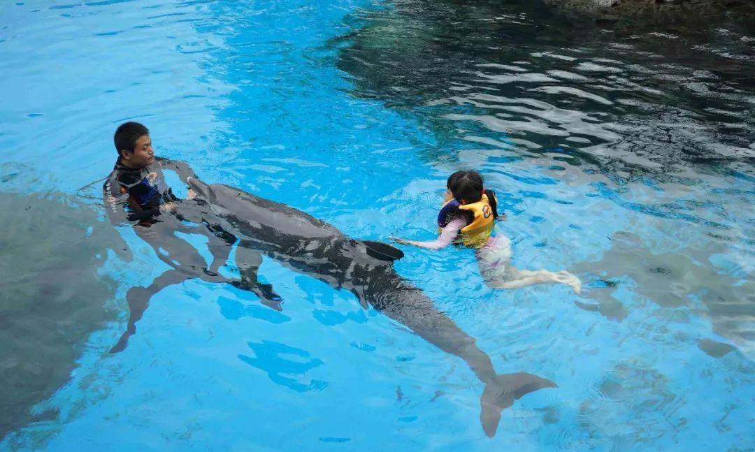 珠海长隆海洋王国附近住宿攻略,珠海长隆海洋王国三人住两天一夜