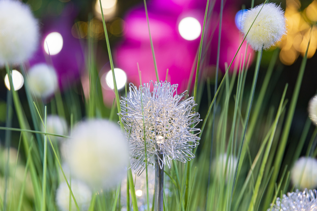 婚礼设计一站式,一站式婚礼艺术中心