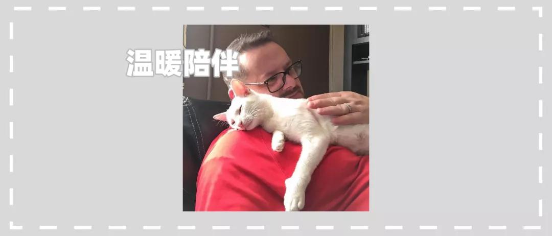 被救助的猫咪小胖胖,猫咪被罐头盒困了