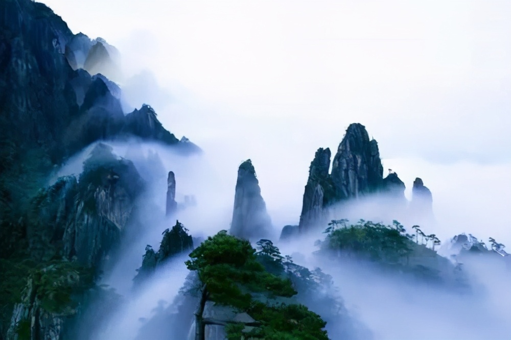 旅游强买强卖哪里严重,旅游强买强卖的事例