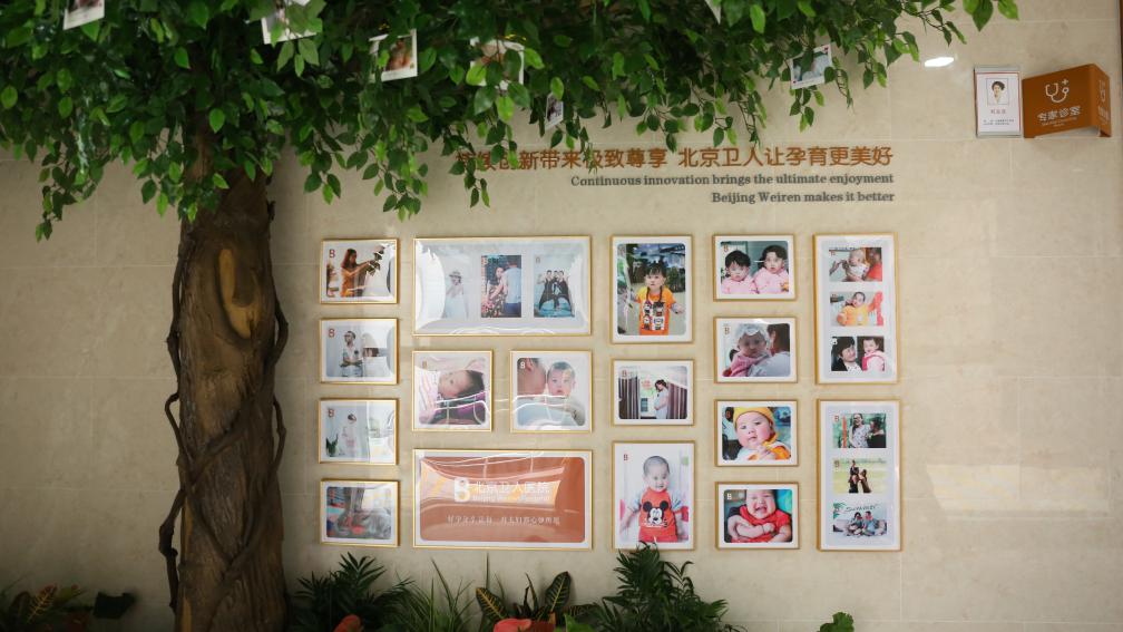 北京卫人医院刘玉珍：胎停育为何越来越常见？该如何避免？