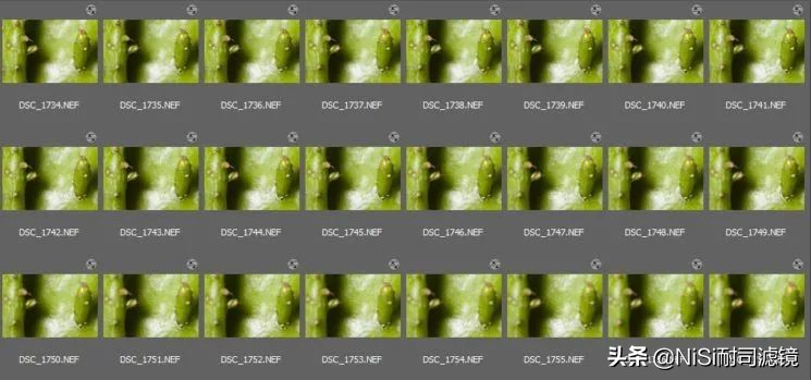 nisi超广角镜头测评,微距相机测评