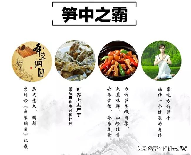 贵州省桐梓县马鬃乡竹笋,桐梓新鲜方竹笋基地