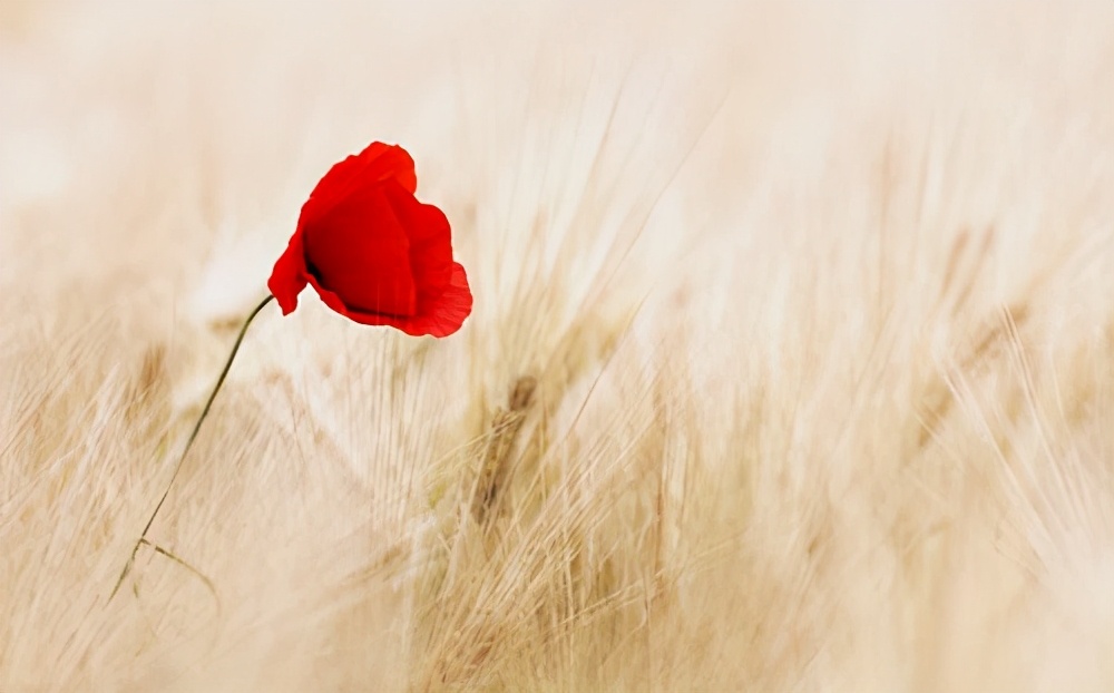 我想甩掉谈了5年的博士女友，接受富二代的追求，该怎样分手？