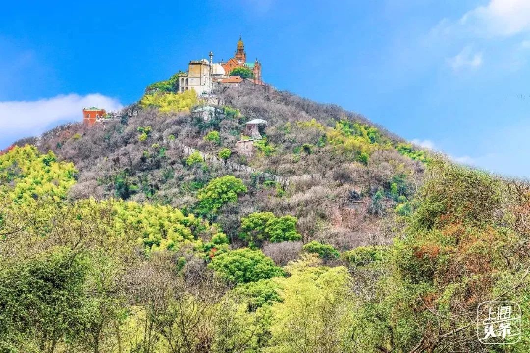 上海一日游古镇最佳路线免费景点,上海晚上十大必去免费景点