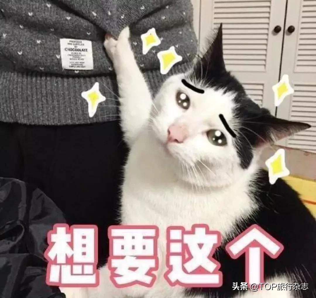 赴日旅游即将涨价？中国已成日本第一大旅游客源国，你们的买买买，原来充值了他们的腰包.....