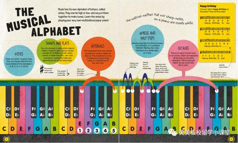 12岁推荐看的知识书,12岁儿童学dk书籍