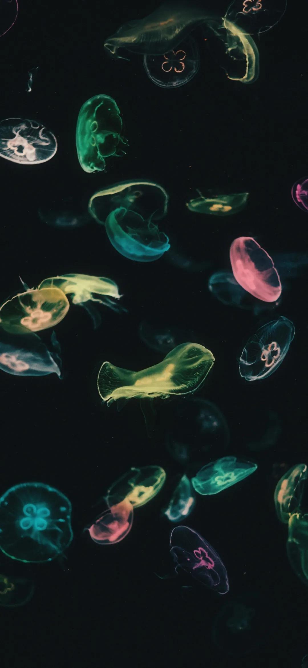 全屏壁纸100元高清,全屏高清壁纸12.4英寸