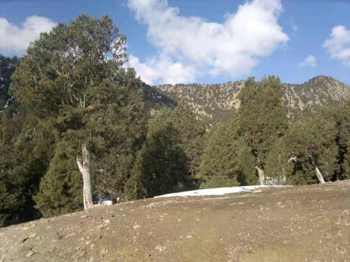 良品铺子引进“一带一路”顶级原料打造高端零食