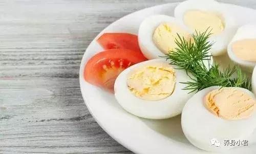 一家三口因为鸡蛋中毒,一家三口吃鸡蛋有什么危害