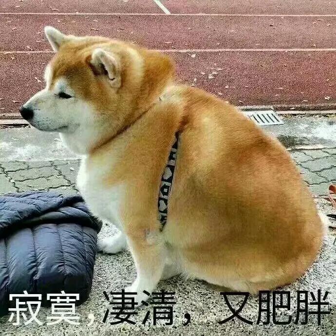 分手后想挽回第三者该怎么办,分手后想挽回前任太决绝怎么办