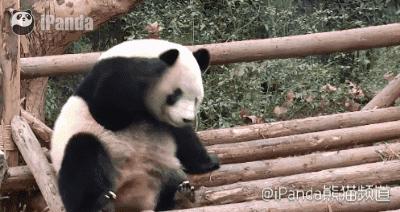 女性难言之“痒”，真的洗洗更健康？