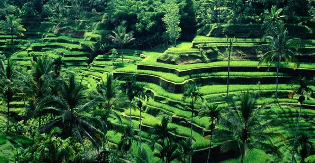 针掉到大海怎么办脑筋急转弯,脑筋急转弯针掉进大海里怎么办