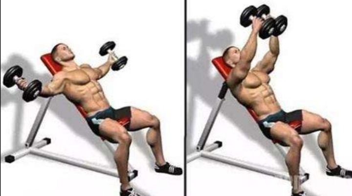 哑铃飞鸟练胸的正确方法,哑铃飞鸟正确做法