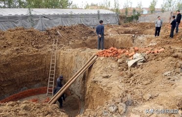 实现粪污变废为宝打造绿色畜牧业,畜禽粪污变废为宝广西