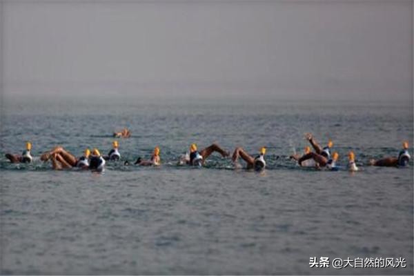 死海的神奇之处,死海为什么不能成为游泳胜地